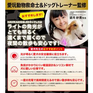 愛玩動物救命士監修 USBタイプC 犬 猫 光...の詳細画像3