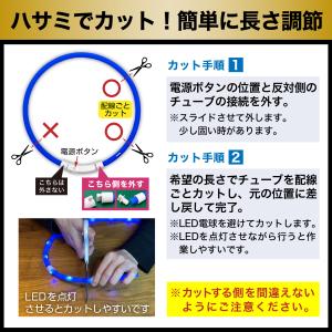 愛玩動物救命士監修 USBタイプC 犬 猫 光...の詳細画像5
