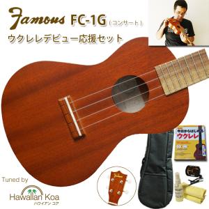 T's Ukulele ティーズウクレレ ソプラノサイズ SD-100 マホガニー