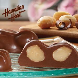 ハワイお土産 マカダミアナッツチョコレートTI...の詳細画像5