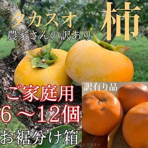 【農家さんの訳あり果実】 訳あり 柿 たねなし柿 和歌山 産地直送 タカスオ柿 ６〜１２個入り お裾分け箱 期間、数量限定 送料無料 ９月下旬より順次発送