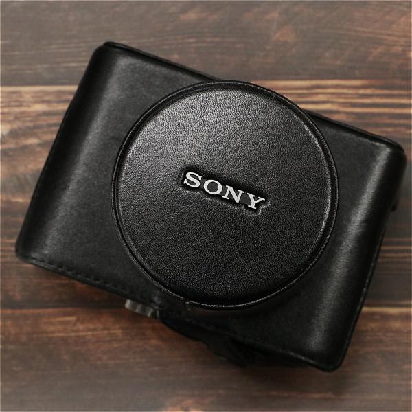 Sony LCJ-RXB ジャケットケース #6624