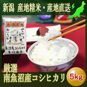 魚沼産コシヒカリ 5kg 南魚沼 令和5年産 塩沢 厳選