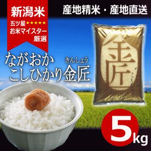 コシヒカリ 5kg 新潟県産コシヒカリ 棚田米 山古志 送料無料 令和6年産