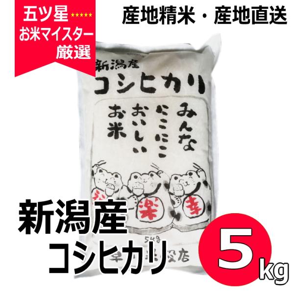 コシヒカリ 5kg 新潟県産コシヒカリ 送料無料 令和5年産