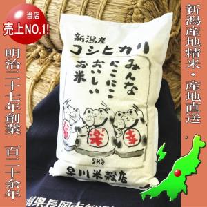 令和7年産 コシヒカリ 5kg 新潟県産コシヒ...の詳細画像1