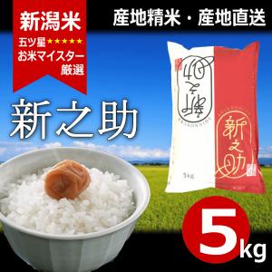 新之助 しんのすけ 令和5年産   新潟産 5kg 送料無料｜haya-kome