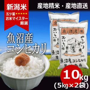 新潟米 早川米穀店 - Yahoo!ショッピング