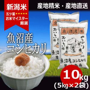 魚沼産コシヒカリ 10kg 5kg×2袋 令和５年産｜haya-kome