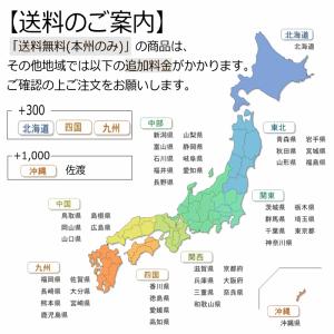 魚沼産コシヒカリ 10kg 5kg×2袋 令和7年産の詳細画像2