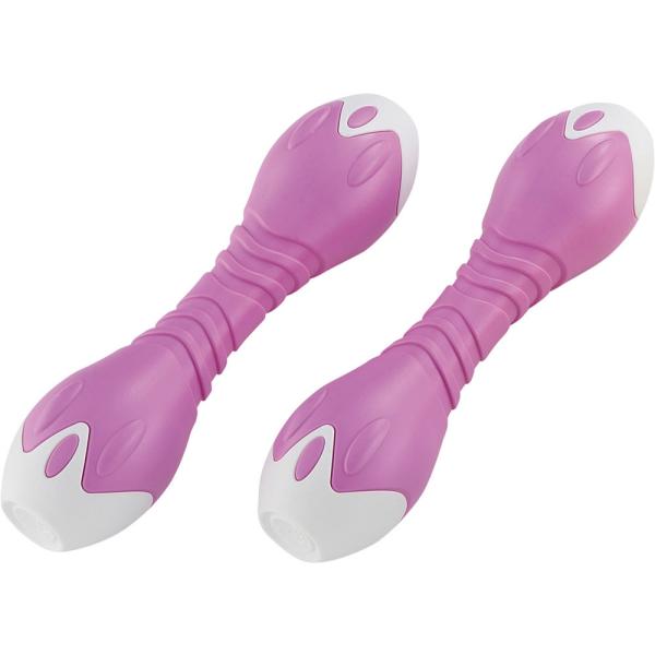 ダンノ DANNO プラアレー 1kg 2本1組 アレー アレイ トレーニング 筋力トレーニング 筋...