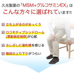 ヒサミツ Hisamitsu MSMEX サプ...の詳細画像1