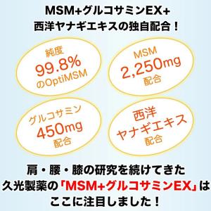 ヒサミツ Hisamitsu MSMEX サプ...の詳細画像2