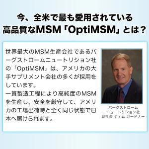 ヒサミツ Hisamitsu MSMEX サプ...の詳細画像3