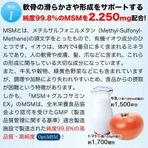 ヒサミツ Hisamitsu MSMEX サプ...の詳細画像4