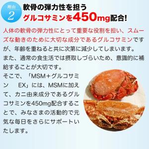 ヒサミツ Hisamitsu MSMEX サプ...の詳細画像5