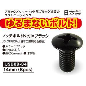 ユニックス UNIX ノッチボルト NejiX...の詳細画像1
