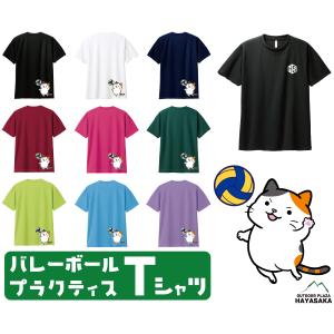 バレー 練習着 半袖 メンズ ドライ Tシャツ 男性 女性 バレーボール