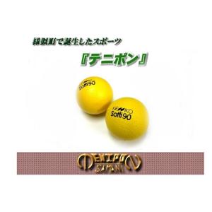 様似町で誕生したスポーツ テニポン テニポン用ボ...の商品画像
