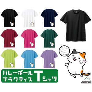 バレーボール練習着 天下布武Tシャツ A2-BLK(ブラック) 爆買