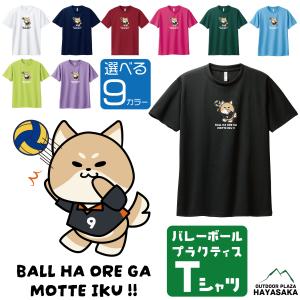 MIZUNO（ミズノ） バレーボール Tシャツ メッセージ 半袖 V2MA5584