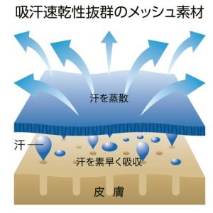 【バレーボール】【ワンちゃん】【ローリングサン...の詳細画像4