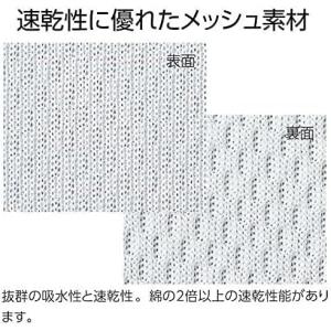 【バレーボール】【ワンちゃん】【ローリングサン...の詳細画像5