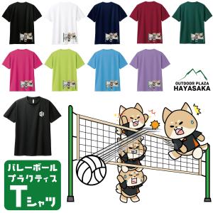 【バレーボール】【ワンちゃん】【最強のブロック】Tシャツ 半袖 ドライTシャツ【00300】【ジュニア〜大人】ハイキュー練習用 練習着
