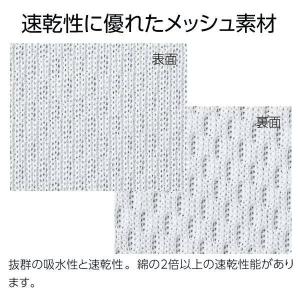 【バレーボール】【ワンちゃん】【最強のブロック...の詳細画像5