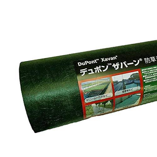 ザバーン 240グリーン 2m×30ｍ※法人限定！平日11時までのご注文で当日発送可！個人宅不可 高...