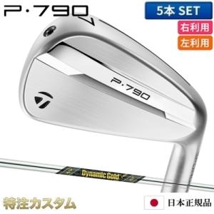 P700シリーズ テーラーメイド P7CB アイアン 5本セット（#6-PW）日本