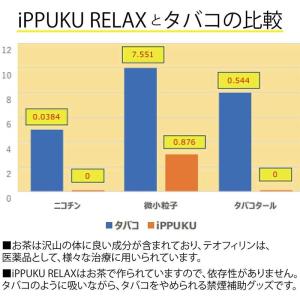 茶葉スティック iPPUKU ニコチンゼロ 禁...の詳細画像4