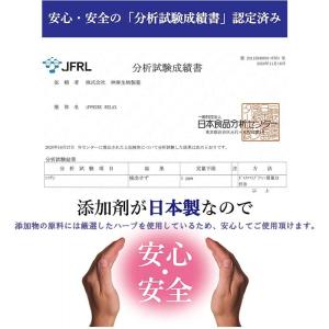 茶葉スティック iPPUKU ニコチンゼロ 禁...の詳細画像5