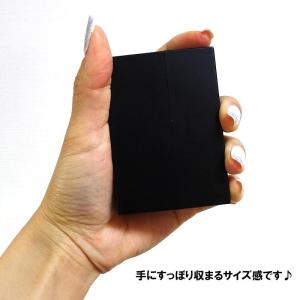 iQOS アイコス ヒートスティック 対応 ケ...の詳細画像3