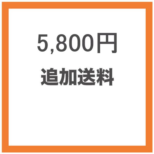 追加送料5800円分