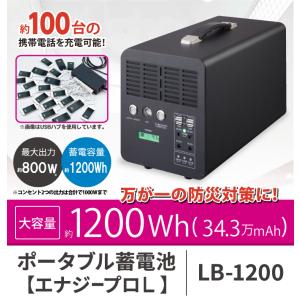 パナソニック製バッテリー搭載 ポータブル電源 ポータブル蓄電池 LB-1200 エナジープロL PIF DEARLIFE 蓄電 電気 防災 オススメ 高品質 業務用｜hayashi-shokai