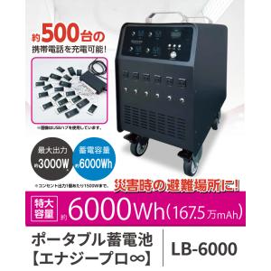 パナソニック製バッテリー搭載 ポータブル電源 ポータブル蓄電池 LB-6000 エナジープロNeo PIF DEARLIFE 蓄電 電気 防災 オススメ 高品質 業務用｜hayashi-shokai