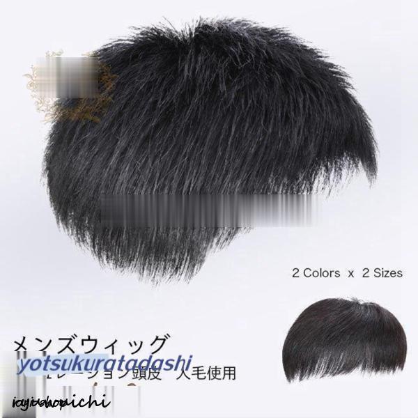かつら メンズ ウィッグ 自然 セルフ増毛 人毛 部分ウィッグ 男性 薄毛対策 カツラ ショート エ...