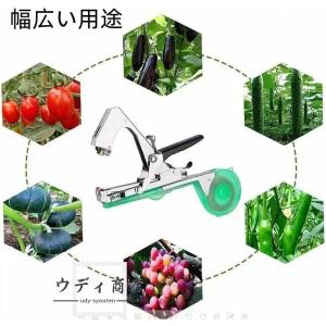 園芸用誘引結束機 テープツール 植物枝【202...の詳細画像2