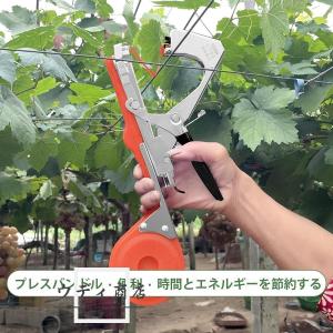 園芸用誘引結束機 テープツール 植物枝【202...の詳細画像3