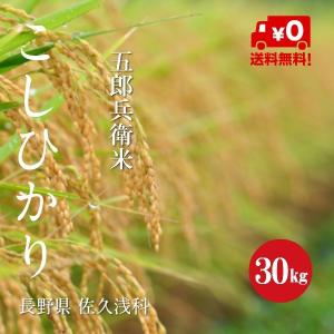 コシヒカリ 令和7年産 長野県 安曇野産 こしひかり 2等米 玄米