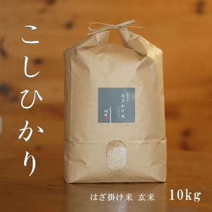 コシヒカリ 長野県産 信州上伊那のお米 こしひかり 10kg 白米 通販
