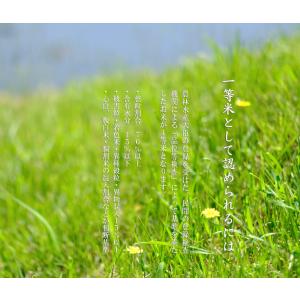 令和7年産 長野県産 こしひかり 幻の米 みゆ...の詳細画像4