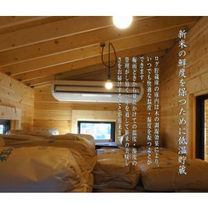 令和7年産 長野県産 こしひかり 幻の米 みゆ...の詳細画像5