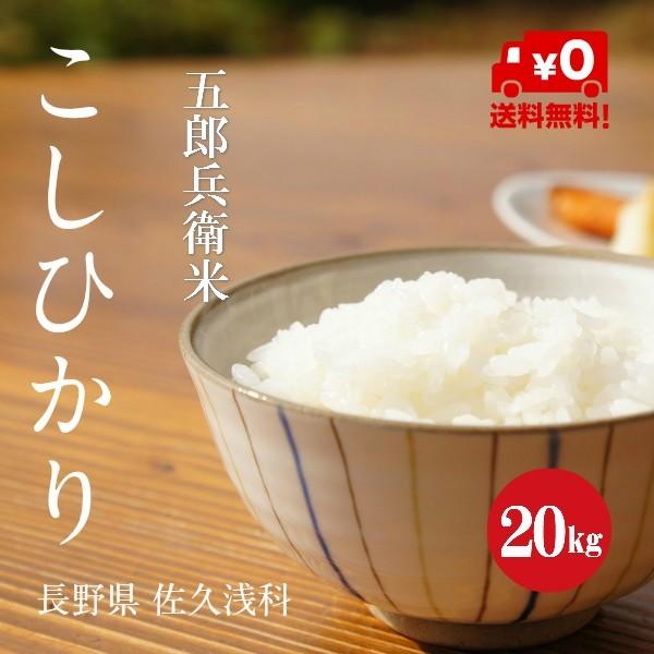 令和５年産 長野県産 こしひかり 五郎兵衛米 １等米 白米 ２０kg