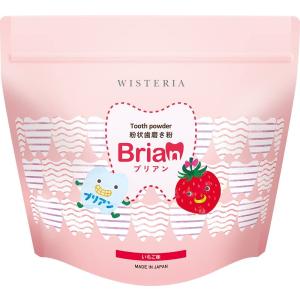 ブリアン Brian 歯磨き粉 子供 虫歯 予防...の商品画像