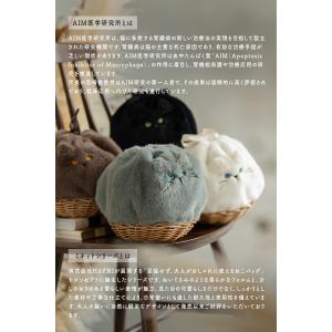 AIM医学研究支援PJ実施中| 猫 ねこ ショ...の詳細画像3