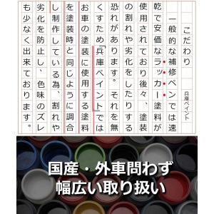 ペイント フォルクスワーゲン車用 アクエリアス...の詳細画像4