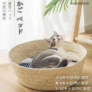 ニャンかご小 紙バンドキット 名入れOK【3千円以上で送料無料】エコ