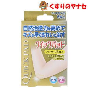 【メール便】クイックパッド ワイドサイズ　6枚入